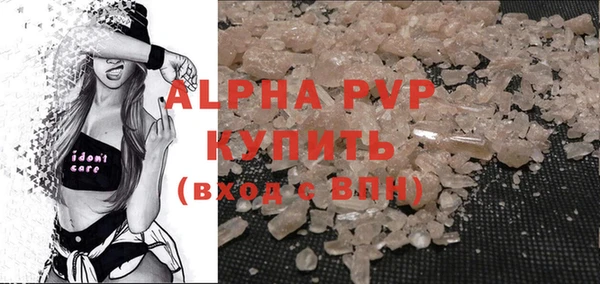сатива Володарск