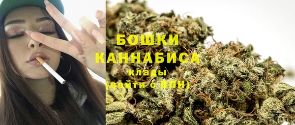 индика Бородино