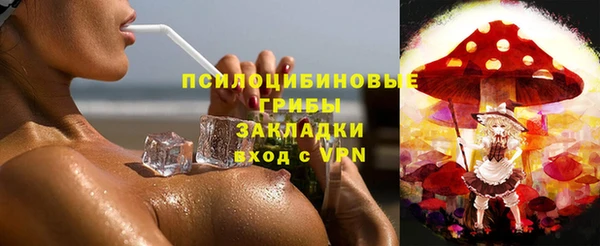 spice Верхний Тагил