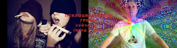 spice Верхний Тагил