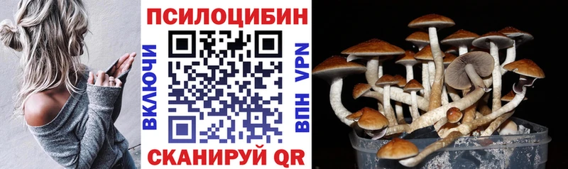 где найти наркотики  Карабаш  Псилоцибиновые грибы Cubensis 